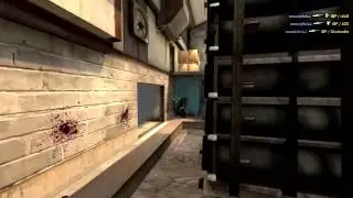 RGN MLG Portfolio Laserjesus and Sadokist