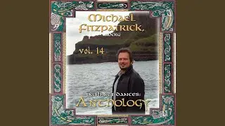 Saint Patrick's Day (94)