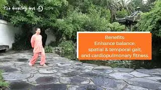 Tai Chi Walk Backward- Tai Chi for Beginners- Tai Chi Foundation- Twisted Steps Backward-