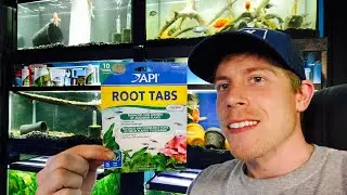 Обзор API Root Tabs (руководство)
