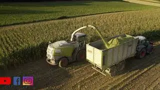 🌾 CLAAS Jaguar 940 🌾 Mais H&auml;ckseln Gro&szlig;einsatz 🌾 Ernte 2019 Maisernte