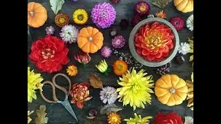Makelight Studio - Photography Backgrounds & Autumn Props
