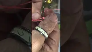 Creative Fishing Knot Skills #fishingknot #shorts