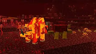 Minecraft, But It's The OTHER Nether Update