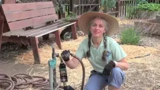 Who We Are ... What We Do -- UCCE Master Gardener Program of Santa Clara County