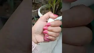 MyGlamm LIT Glossy Nail Paints#Swatches#Nails#Shorts#Youtubeshorts