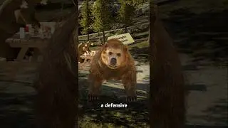 How To Survive a Grizzly Bear Encounter