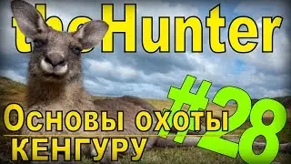 the Hunter - Кенгуру [Основы охоты] #28