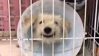Finn Bailey 在中途-3