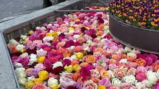 Zurich Switzerland Walking Tour 4K - The stunning rose fountains