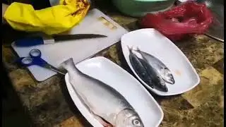 Final Performance: Market Forms and Different cuts of fish
