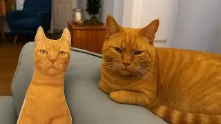 Cats watching humans like: I Can&rsquo;t Deal With This Anymore 😂 Best Funny Cat Videos 2025