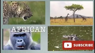 Multiple video in one Frame in iMovie