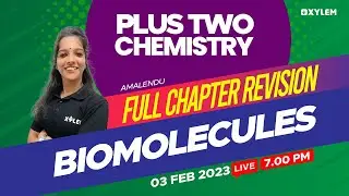 Plus Two - Chemistry - Biomolecules | Full Chapter Revision | XYLEM +1 +2
