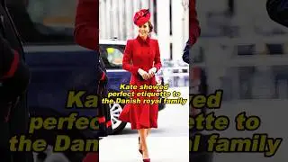 Kate showed perfect etiquette to the Danish royal family #Kate #royal #subscribe #fyp