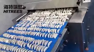 【HITREES】IQF Tunnel Freezer for quick frozen dumplings