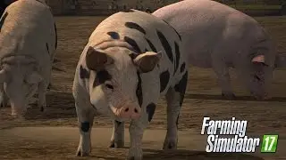 Farming Simulator 17  [Buying and feeding Pigs]