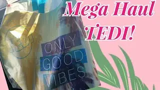Ho svaligiato TEDI MEGA Haul Cartopazzo