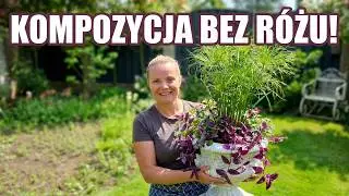 Papirus Kalibrachoa Wilec czyli pierwsza letnia kompozycja w dużej donicy / MrsGarden