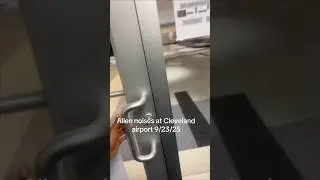 Вмешательство инопланетян в аэропорту Огайо...? #жутко