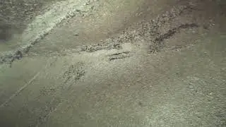 Voyager C50 HD Video Borescope Footage #videoscope #inspectioncamera #motorized #articulation