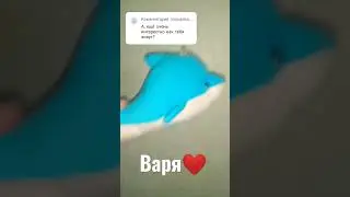 мяу❤️