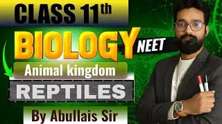 Class-Reptiles | Animal Kingdom By Abullais Sir. #animal #animalkingdom #amphibians #abullaissirbio