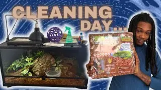 Routine Cleaning Day | Big Worm&rsquo;s Enclosure Maintenance 