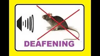 Deafening sound that confuses the RATS
