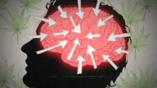 Talk to Frank - Cannabis