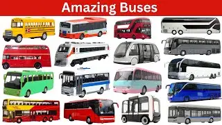 Learn All Types of Buses | City, School, Electric, Safari & More | Kids Video