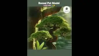 Bonsai Pot Model 🌄 Model Pot Bonsai #tranding #trending #shorts