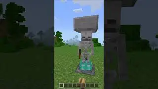 Torturing skeletons in Minecraft  #minecraft #meme #short