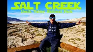 SALT CREEK, DEATH VALLEY NATIONAL PARK