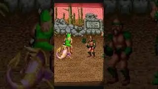 Golden Axe MS-DOS #retrogaming #gaming #goldenaxe #msdosgames