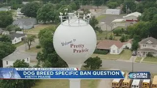 Pretty Prairie voters to decide on dog breed-specific ban