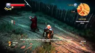 The Witcher 3: Wild Hunt invisible botchling