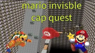 Mario's invisible cap quest