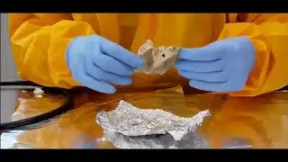 Sampling Method of Human Bone and Teeth Specimens for Ancient DNA Analysis