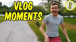 Vlog Moments 1 - Dog Adventure