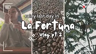 Coffee Farm Tour in La Fortuna 🌧️☕ - fresh chocolate, cozy vibes & TOUCAN surprise!