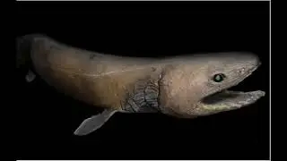 5 creepiest fish I found