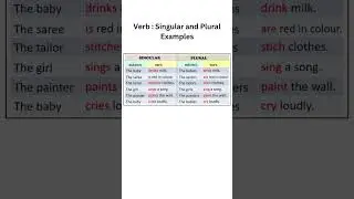 Verb: Singular and Plural Examples #grammar #english #education #verb