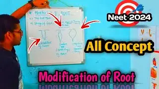 Modifications of root | Target-Neet 2024 | Easy Concepts to learn