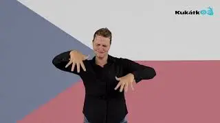 Hymna v českém znakovém jazyce