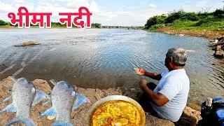 आज आलो भीमानदी वर मासे पकडायला | Village Fishing Videos | Fishing And Cooking | Fish Recipe.