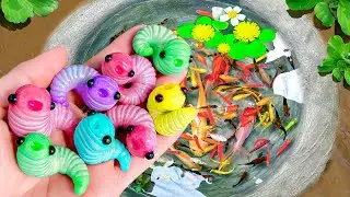 Поймайте 10 самых красивых декоративных рыб в маленьких прудах: гуппи, рыбки-карандаши и стеклянн...