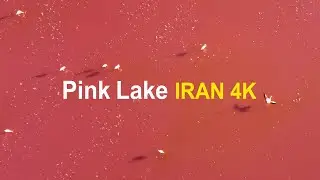 Amazing Pink Lake In Iran 4k |  دریاچه صورتی مهارلو  شیراز