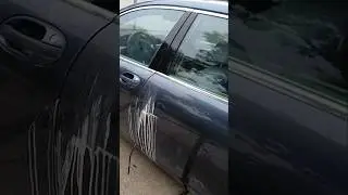 Cleaning House Paint Off A Bmw & Daily Traffic.. #bmw #carcontent #asmr #carsandcoffee #comedy