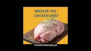 chicken rate today price update